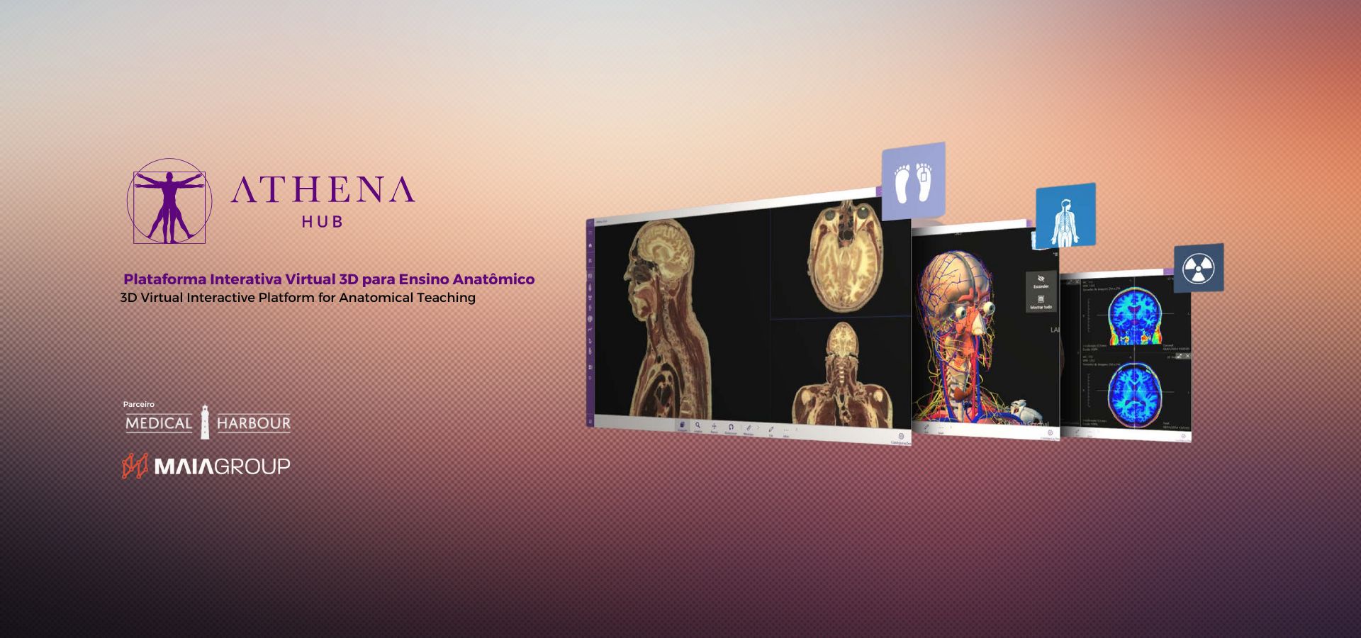 Plataforma de ensino anatomico